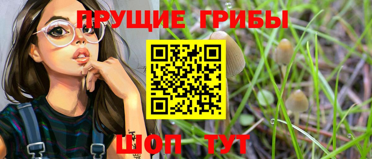 Котельники  Галлюциногенные грибы ЛСД  Вход с VPN  Псилоцибиновые грибы MAGIC MUSHROOMS 