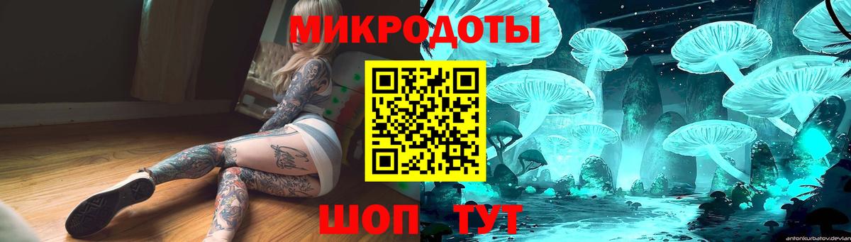 Псилоцибиновые грибы мицелий Котельники